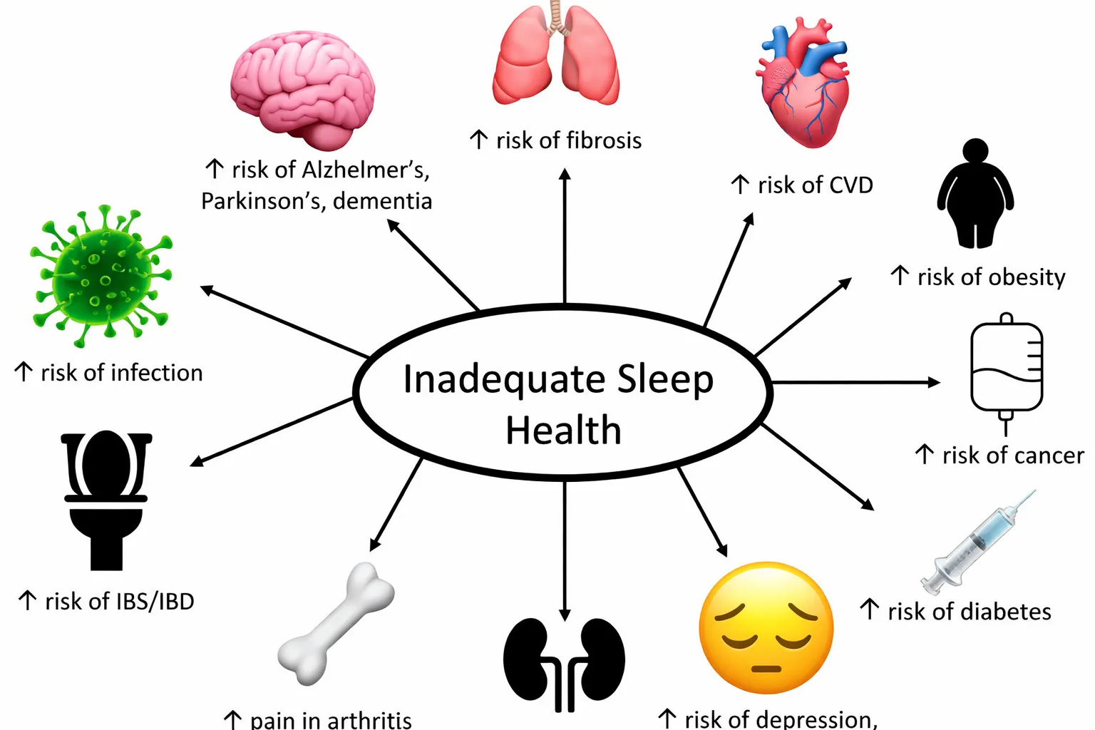 how-sleep-works