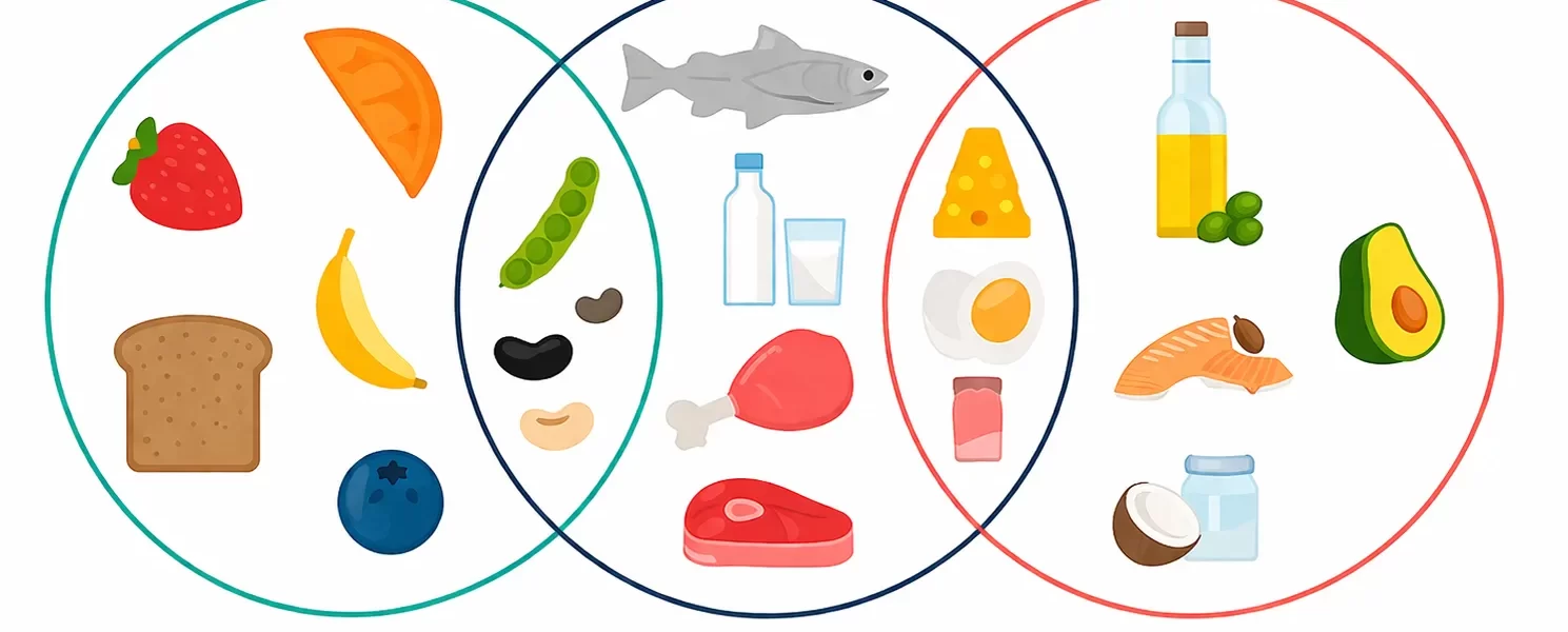 macronutrients-explained-a-simple-guide-to-protein-carbohydrates-and-fats