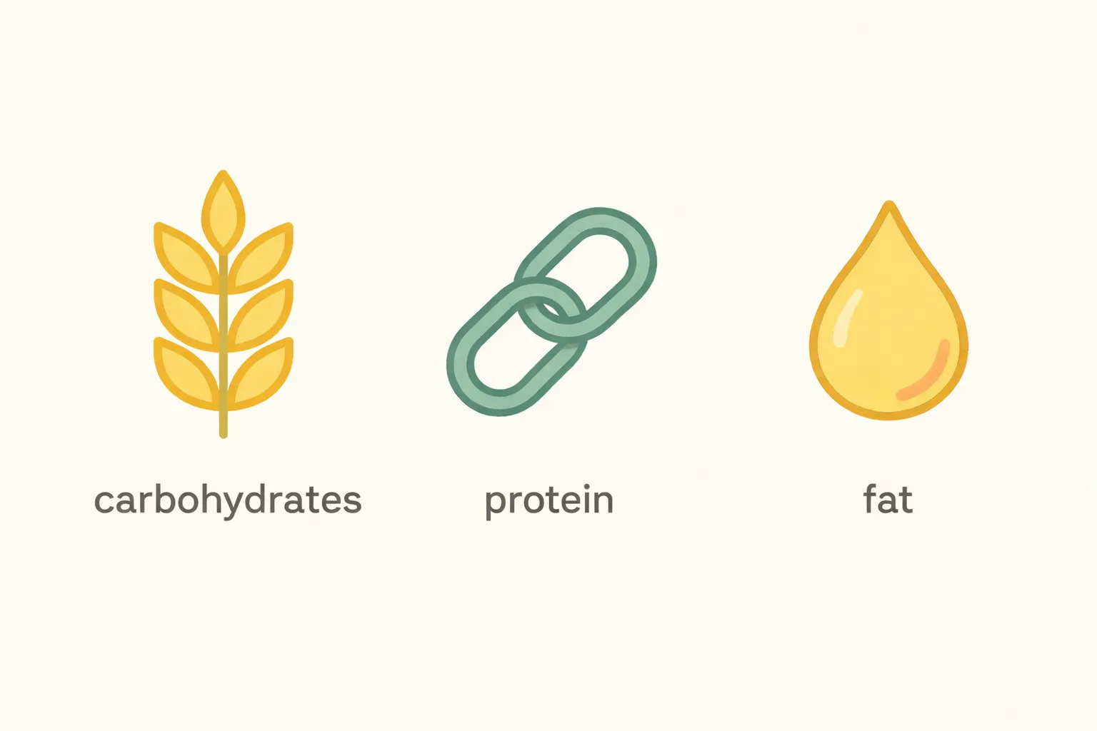 what-are-macronutrients