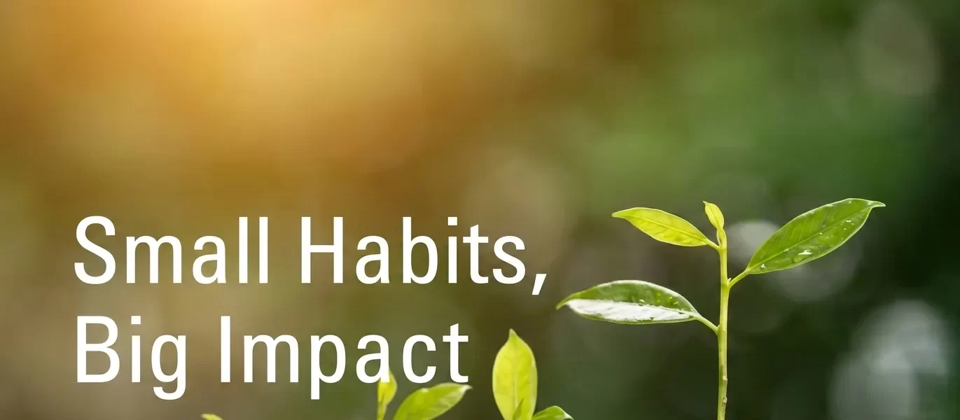 small-habits-big-changes-the-power-of-tiny-steps-for-a-better-life